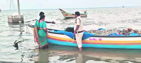 అలవి వల పట్టివేత 
