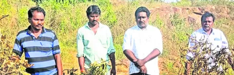 మొక్కల నరికివేతపై చర్యలు తీసుకోవాలి 