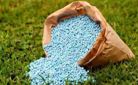  Union Agriculture Department show cause notices to Fertilizers dealers