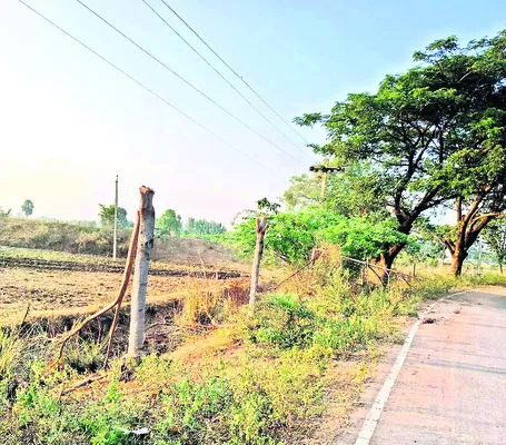 నాటారు.. నరికేశారు