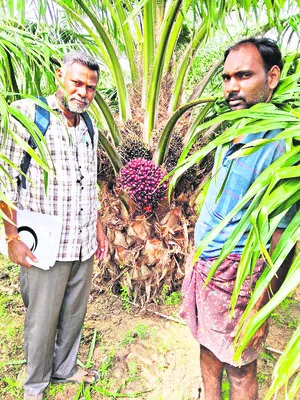 10 వేల ఎకరాలు సాగైతే పరిశ్రమ.. 
