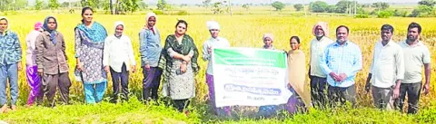 నాణ్యమైన విత్తనాలతో మంచి దిగుబడి 