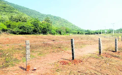 పచ్చనేత భూకబ్జా 