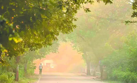 కాలుష్యం ఆగాలి 