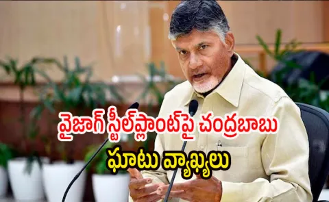 CM Chandrababu Comapre Vizag Steel Plant With White Elephant