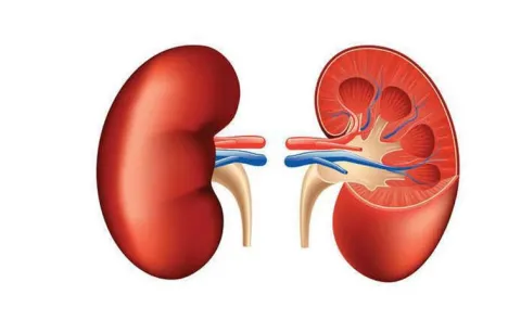 Madanapalle kidney racket links to three states