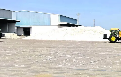 పత్తి కొనుగోళ్లకు బ్రేక్‌