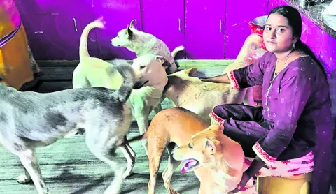 కుక్కపిల్లలంటే   ఆమెకు ప్రాణం
