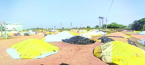 సన్నాలుంటే సై.. లేదంటే నై