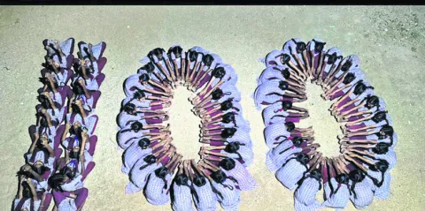 విద్యార్థినుల భద్రతకు పోలీసు అక్క
