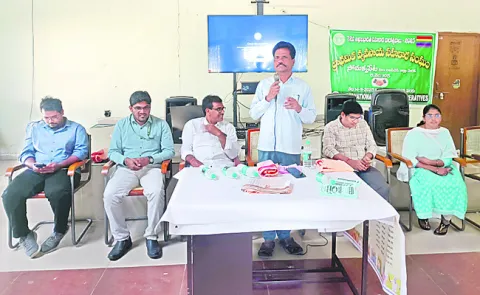 ఆయిల్‌పామ్‌తో అధిక ఆదాయం