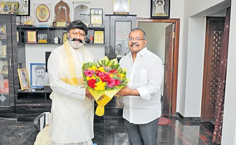 MLA Balakrishna PA Srinivasa Rao as a shadow MLA in Hindupur constituency