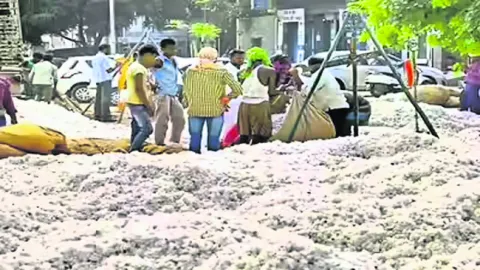 పత్తి కొనుగోళ్లు బంద్‌!