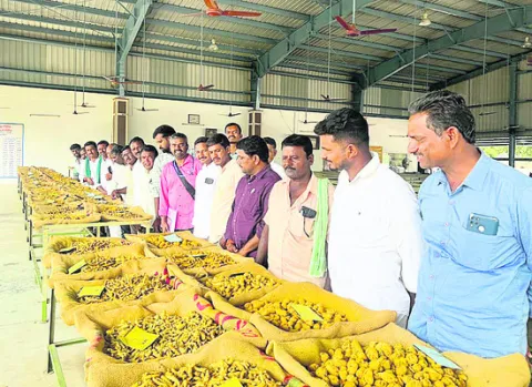 మద్రాస్‌లో మన రైతులు