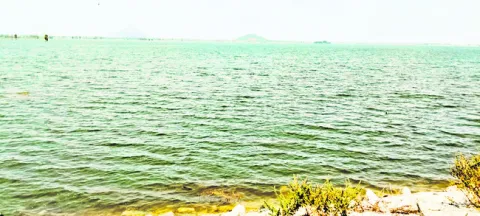 రక్షణలేని చెరువులు