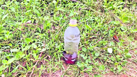 చంద్రగిరిలో లిక్విడ్‌ గంజాయి కలకలం