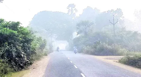 చలికాలం.. జర భద్రం 