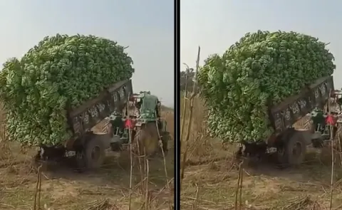 అనంతపురం జిల్లాలో అరటి రైతుల ఆక్రందన