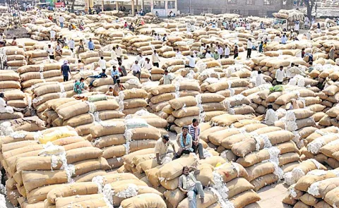 cotton procurement stopped on nov 17: Telangana