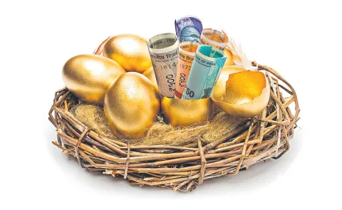 Explanation of the Gold Monetisation Scheme, sakshi special story