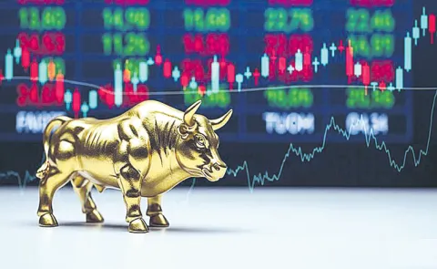 Stock Market Experts Views and Advice to This Week