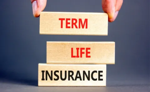 Term Insurance more beneficial for career beginners Youth Finance6
