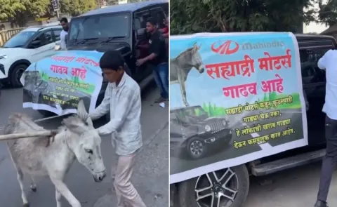 Fed Up With Thar Breaking Down, Pune Man Gets Donkeys To Pull It To Showroom