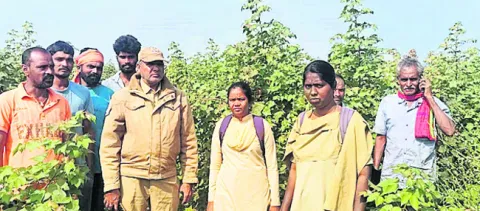 చిరుతల సంచారం.. భయాందోళనలో జనం