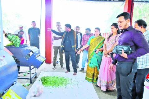 ప్రతిరోజూ తడిచెత్త ప్లాంట్‌కు చేరాలి