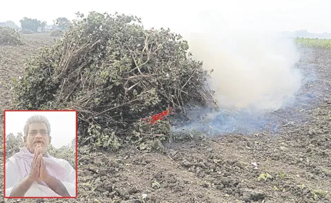 Chandrababu Govt Fails to Support Farmers Affected by Montha Cyclone