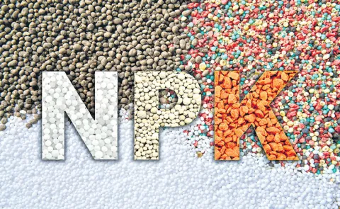 Nanofertilizers are a new generation of fertilizers that utilize advanced nanotechnology 