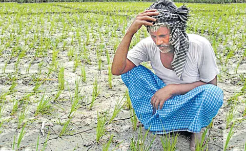 Chandrababu Naidu Govt Neglected Farmers with Annadata Sukhibhava