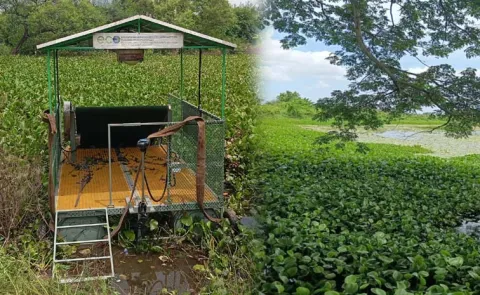  ICRISAT Solar Powered Water Hyacinth Harvester