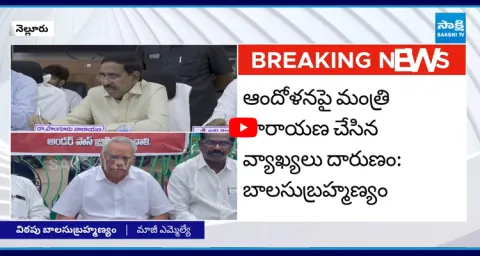 Vitapu Balasubrahmanyam Fire On Minister Narayana Comments on Public Movements  1