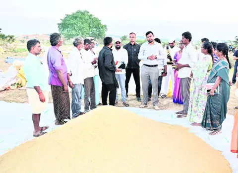 రైతులకు సకాలంలో నగదు చెల్లించాలి 