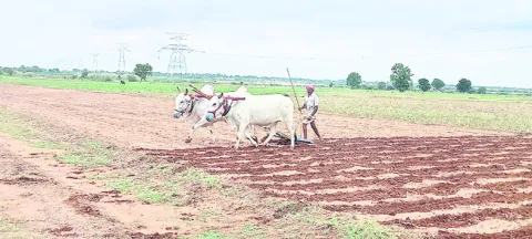 ఎదురుచూపులు