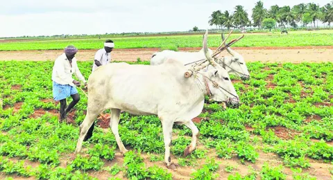ఒట్టిమాటలు.. ఉత్తచేతులు