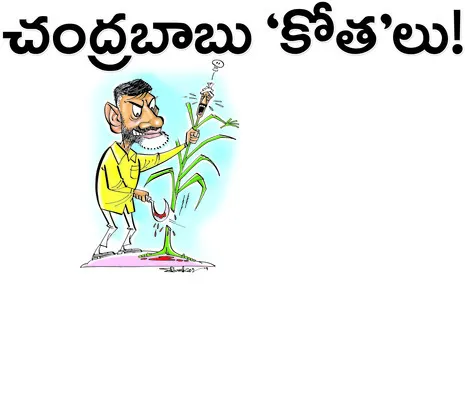  కౌలు
