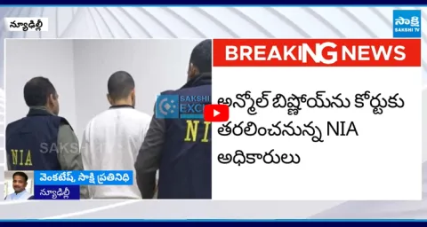  Gangster Anmol Bishnoi Deported From USA 1