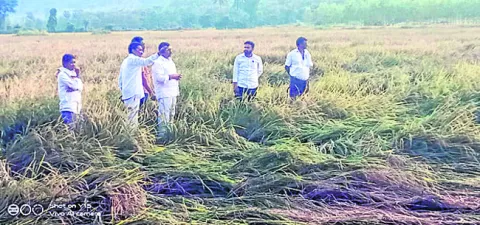 రైతులకు నష్ట పరిహారం చెల్లించాలి