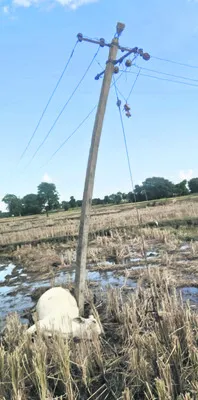 ఇసుక టిప్పర్‌ పట్టివేత 
