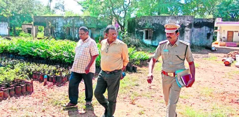 పులుల సంరక్షణకు అత్యంత ప్రాధాన్యం 