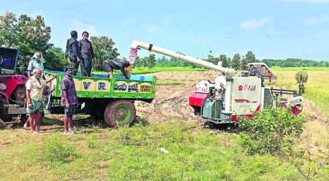 తక్కువ ధరకే ధాన్యం విక్రయం
