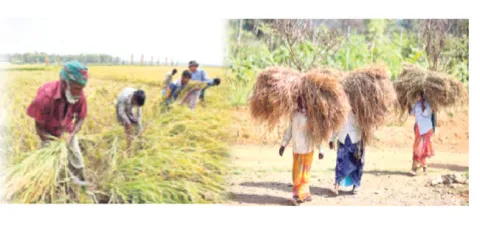 వాళ్లకు వీళ్లు.. వీళ్లకు వాళ్లు

