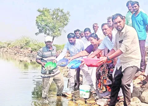 మత్స్యకారుల ఉపాధికి తోడ్పాటు 