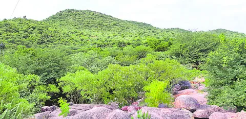 ప్రభుత్వ భూములపై టీజీఐఐసీ నజర్‌ 