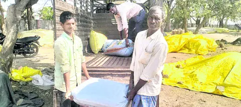 సోయా వాపస్‌!