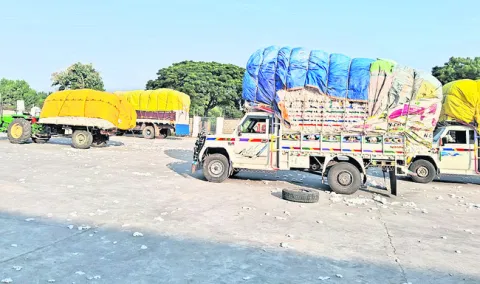 పత్తి రైతు చిత్తు.. 