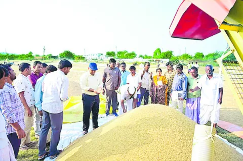 ముమ్మరంగా ధాన్యం సేకరణ