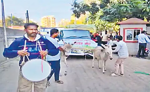 Pune Man Uses Donkeys to Tow Faulty Mahindra Thar in Unusual Protest